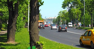 Посадка деревьев и кустарников в Белебее — стоимость от 1224 руб.